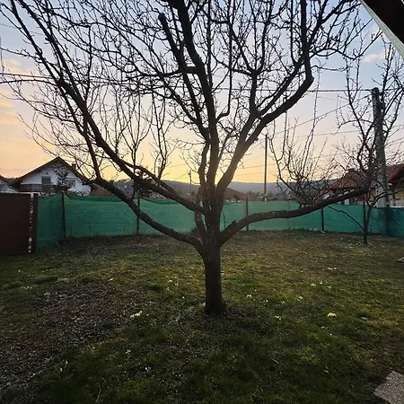 Hegyalja Kucko Kőszeg