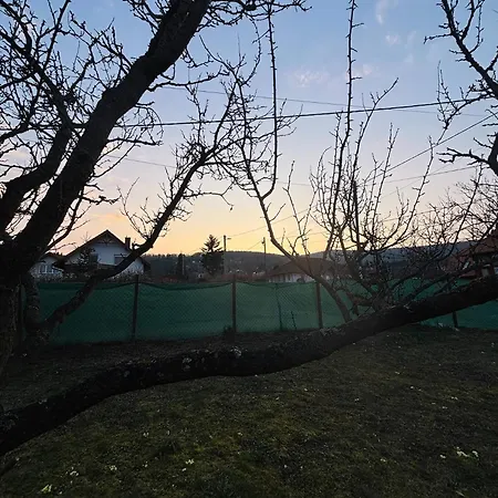 Hegyalja Kucko * Kőszeg