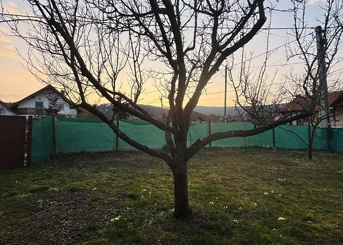 Hegyalja Kucko Kőszeg