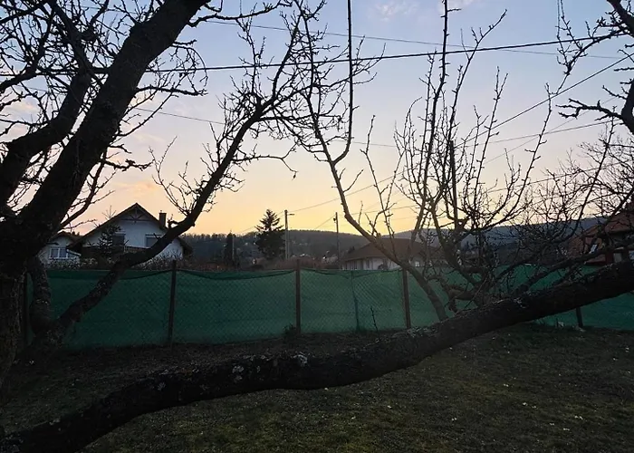 Hegyalja Kucko * Kőszeg